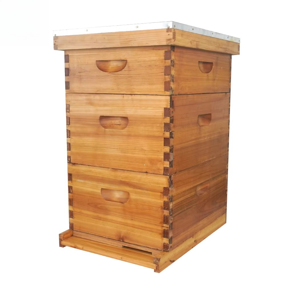 Beehive Frame Wax - รังผึ้งแบบ Langstroth 3 ชั้น ชุบแว็กซ์ 10