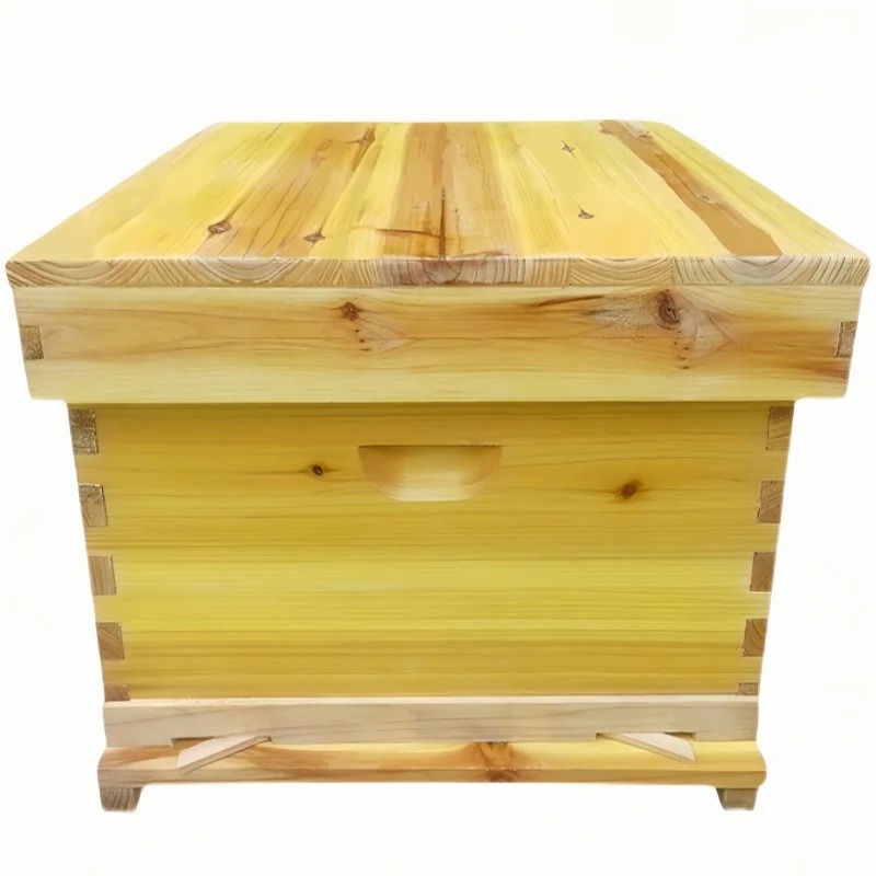 Beehive Frame Wax - รังผึ้งในกล่องผึ้ง ชุดเต็มของขี้ผึ้งต้มจากไม้สนแห้ง พร้อมกรอบรังผึ้งแบบเจ็ดช่องและแบบสิบช่อง พร้อมฐานรองแบบมาตรฐาน