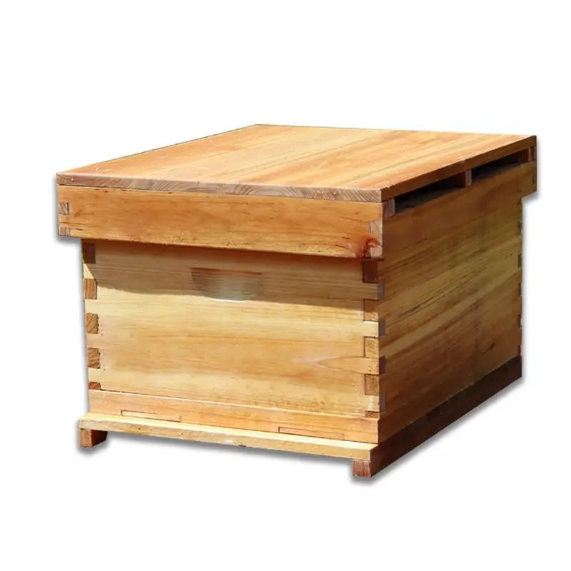 Beehive Frame Wax - รังผึ้งน้ำผึ้ง รังผึ้งไม้สนแท้แบบสิบช่องมาตรฐาน