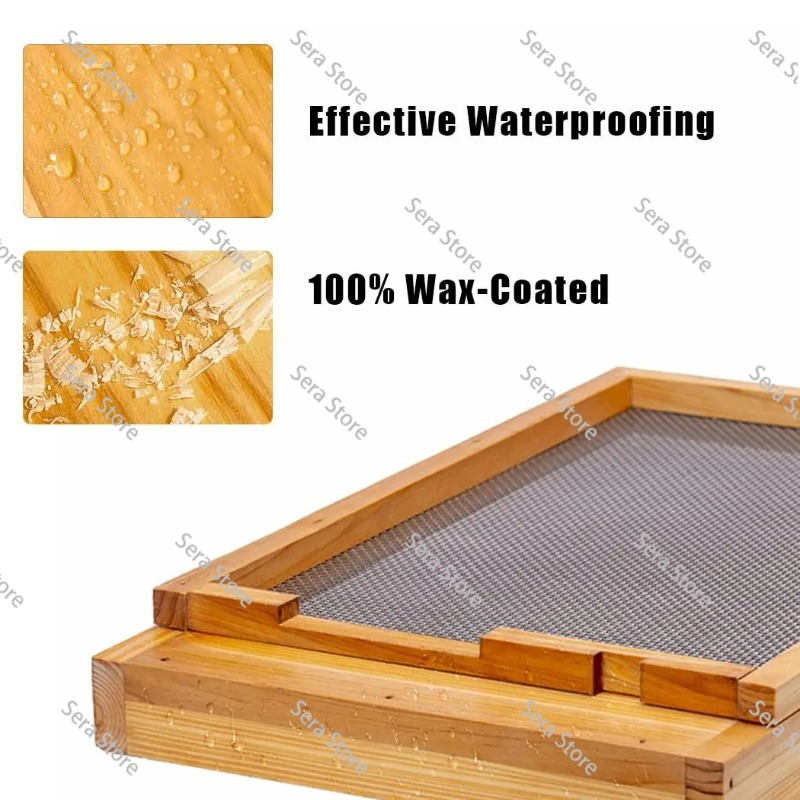 โครงสร้างรังผึ้งสิบชิ้นถูกออกแ - Beehive Frame Wax บทวิจารณ์และราคา